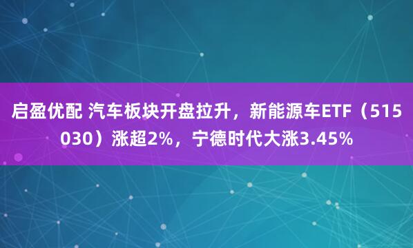 启盈优配 汽车板块开盘拉升，新能源车ETF（515030）涨超2%，宁德时代大涨3.45%