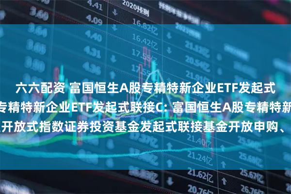 六六配资 富国恒生A股专精特新企业ETF发起式联接A,富国恒生A股专精特新企业ETF发起式联接C: 富国恒生A股专精特新企业交易型开放式指数证券投资基金发起式联接基金开放申购、赎回、转换和定期定额投资业务的公告