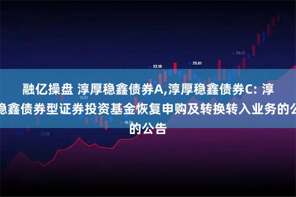 融亿操盘 淳厚稳鑫债券A,淳厚稳鑫债券C: 淳厚稳鑫债券型证券投资基金恢复申购及转换转入业务的公告