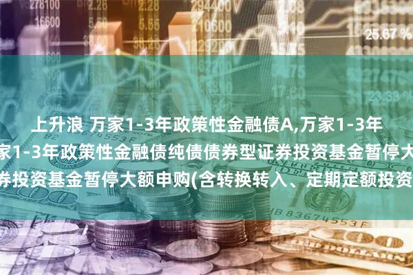 上升浪 万家1-3年政策性金融债A,万家1-3年政策性金融债C: 关于万家1-3年政策性金融债纯债债券型证券投资基金暂停大额申购(含转换转入、定期定额投资)业务的公告