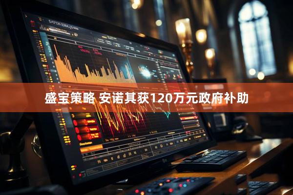 盛宝策略 安诺其获120万元政府补助
